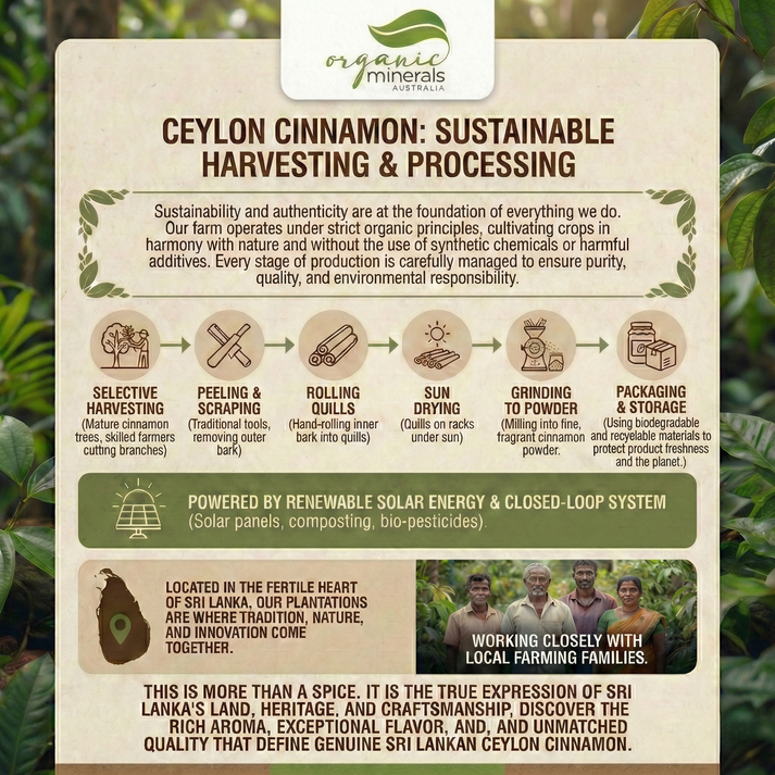 Organic True Ceylon Cinnamon Powder 45g, 100g, 250g, 500g, & 1kg ...